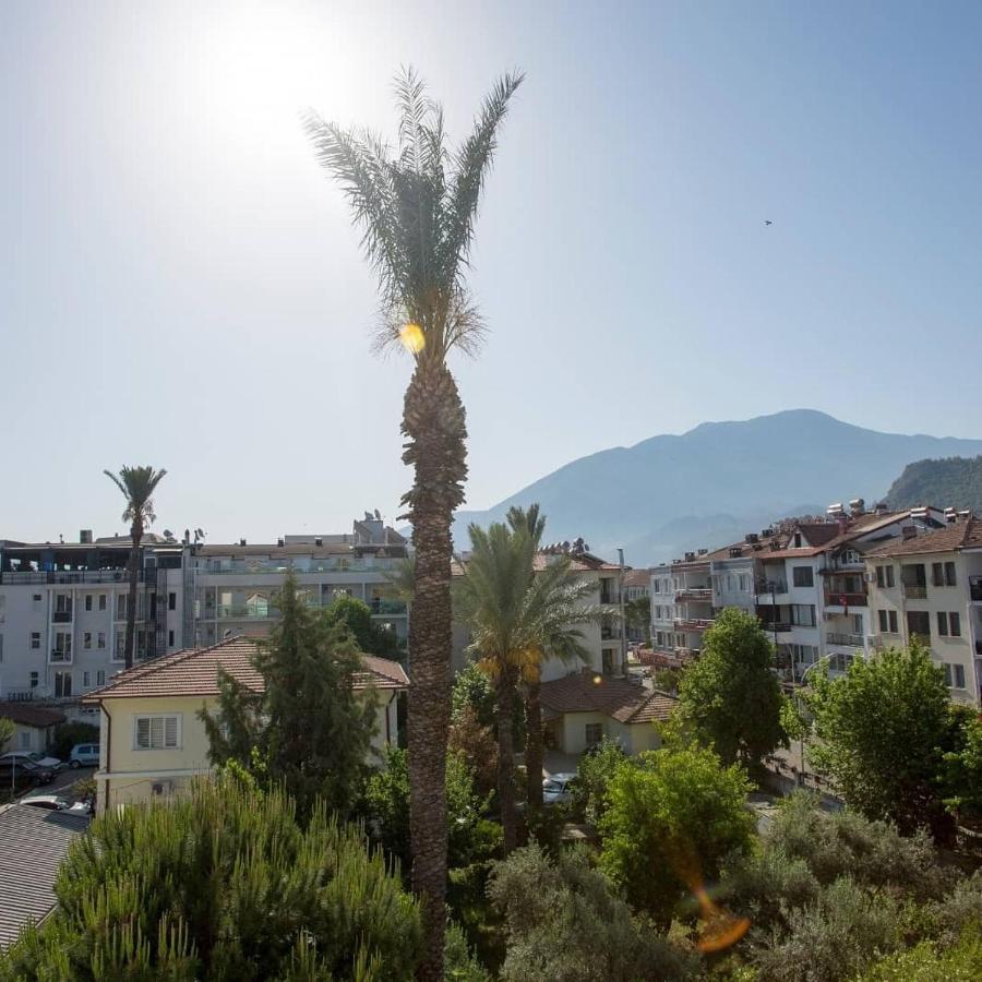 Apartament Narac Dom *